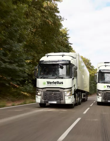 Vertellus